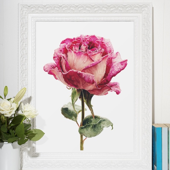 Watercolor Single Pink Rose Wall Art Print, Unframed - Delicate Floral Elegance - Picture 6 of 6
